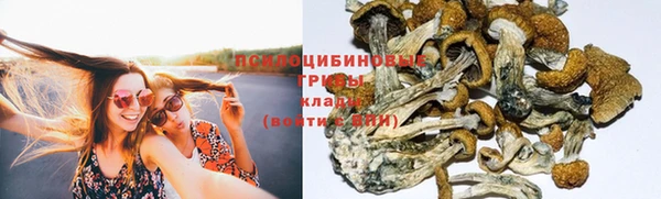сатива Бронницы