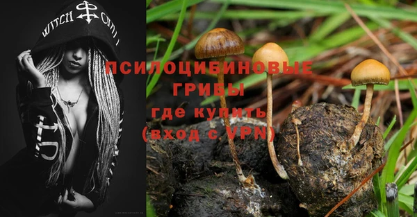 а пвп мука Бугульма