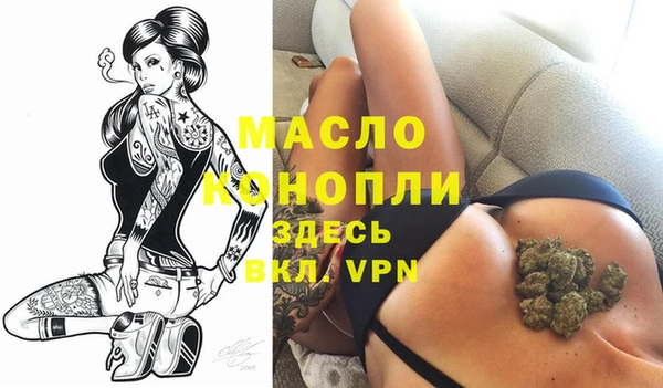 Альфа ПВП Бородино