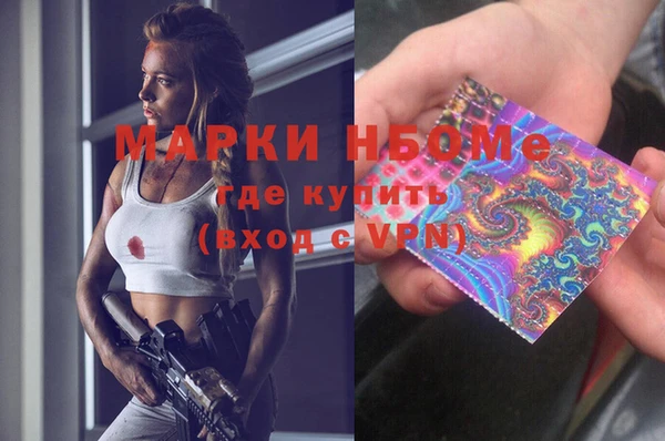 сатива Бронницы