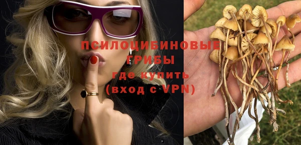 эйфоретик Богородск