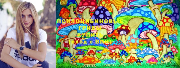сатива Бронницы