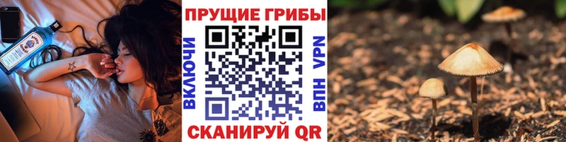 Галлюциногенные грибы Magic Shrooms Купить Никольское